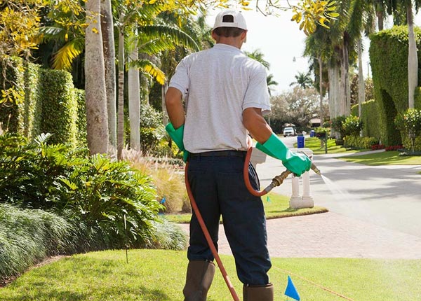 About Fenton IA Pest Control